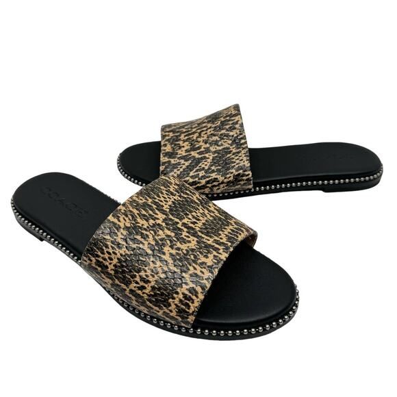 Coach | Women's Hayden Reptile Print Beadchain Flat Slide Sandals - Picture 1 of 10